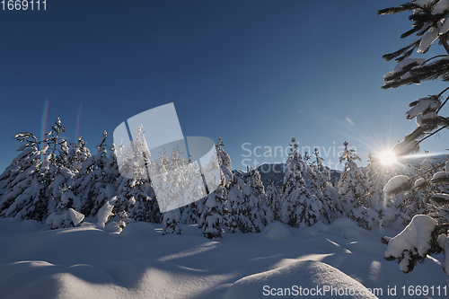 Image of winter sunrise with fresh snow covered forest and mountains