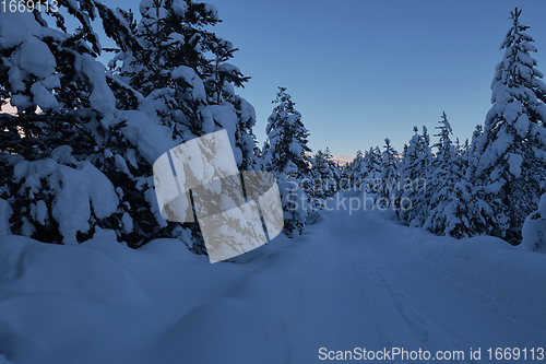 Image of winter sunrise with fresh snow covered forest and mountains