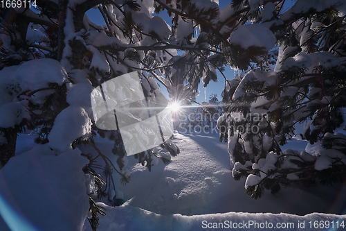 Image of winter sunrise with fresh snow covered forest and mountains