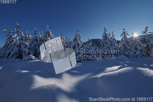 Image of winter sunrise with fresh snow covered forest and mountains