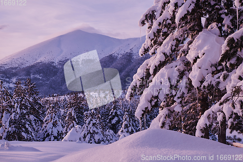 Image of winter sunrise with fresh snow covered forest and mountains