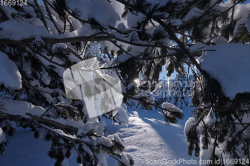 Image of winter sunrise with fresh snow covered forest and mountains