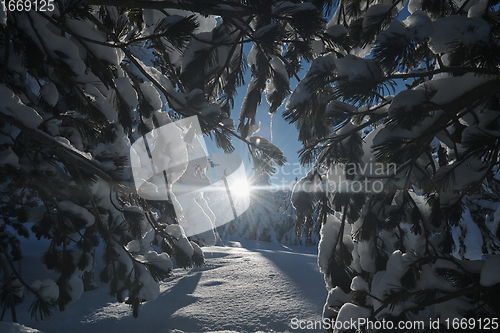 Image of winter sunrise with fresh snow covered forest and mountains