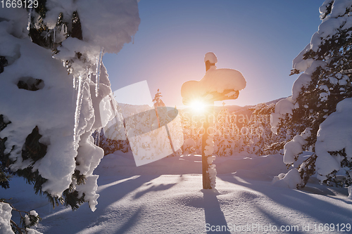 Image of wooden cross covered with fresh snow at beautiful fresh winter morning