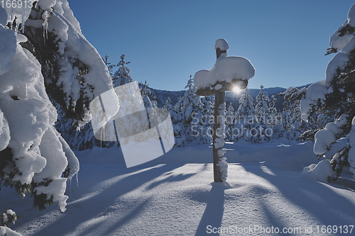 Image of wooden cross covered with fresh snow at beautiful fresh winter morning