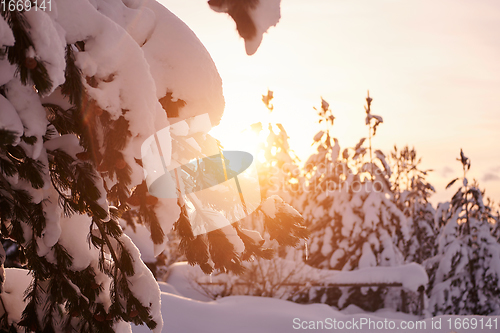 Image of winter sunrise with fresh snow covered forest and mountains