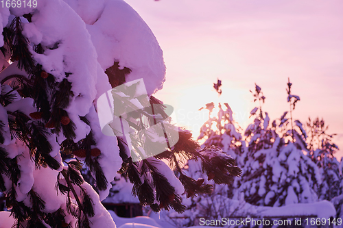 Image of winter sunrise with fresh snow covered forest and mountains