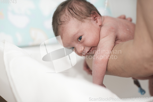 Image of Newborn baby girl taking a first bath