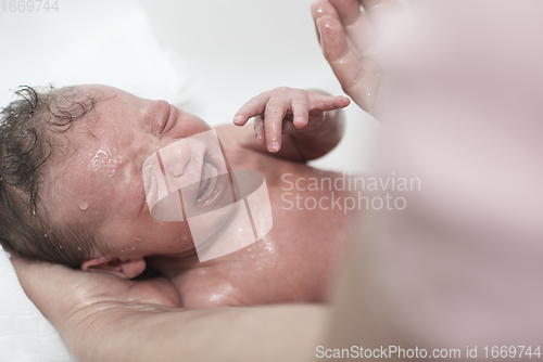 Image of Newborn baby girl taking a first bath