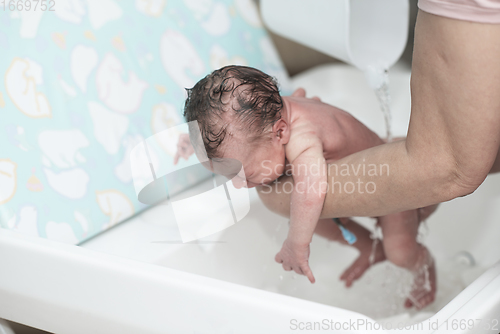 Image of Newborn baby girl taking a first bath