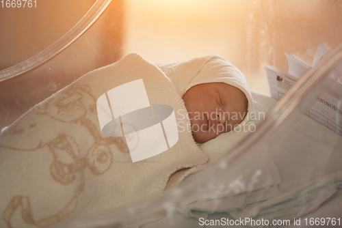 Image of newborn baby sleeping in bed at hospital