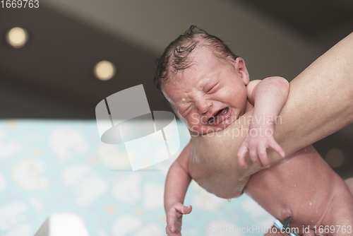 Image of Newborn baby girl taking a first bath