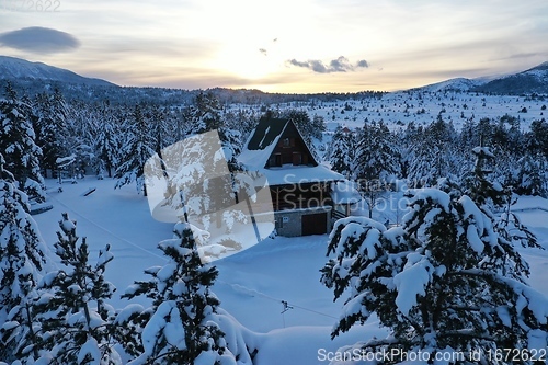 Image of fresh snow covered trees and wooden cabin in wilderness