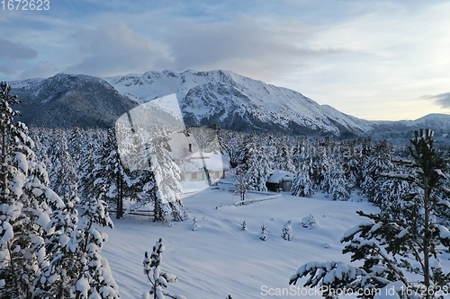 Image of fresh snow covered trees and wooden cabin in wilderness