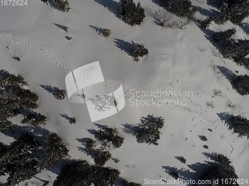 Image of sunny winter day with fresh snow in ski resort