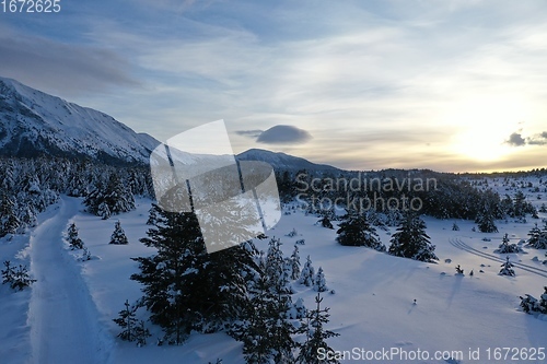 Image of country road in winter season with fresh snow