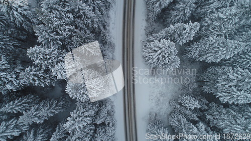 Image of country road in winter season with fresh snow