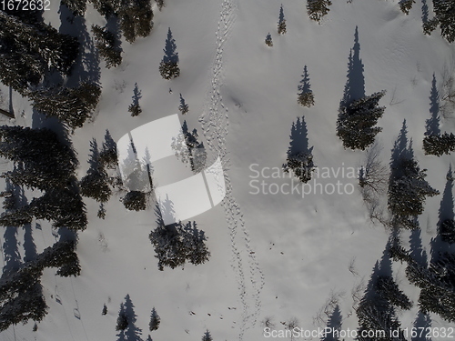 Image of sunny winter day with fresh snow in ski resort