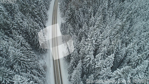 Image of country road in winter season with fresh snow