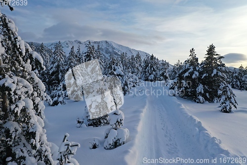 Image of country road in winter season with fresh snow