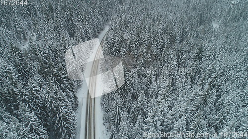 Image of country road in winter season with fresh snow