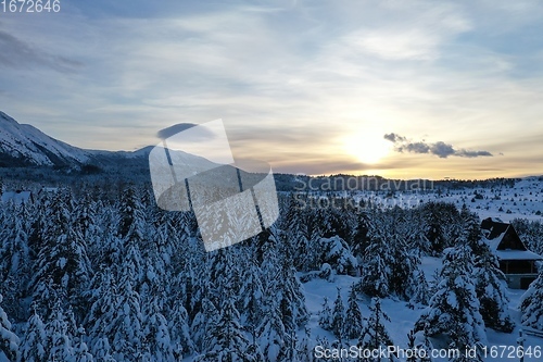 Image of fresh snow covered trees and wooden cabin in wilderness