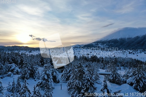 Image of fresh snow covered trees and wooden cabin in wilderness