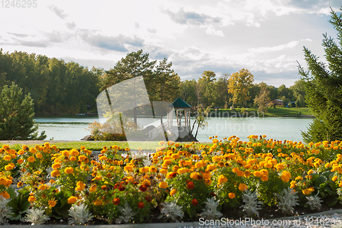 Image of Summer landscape of lake with crystal and fresh water Aya