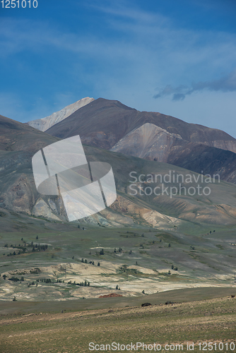 Image of Different colored mountains