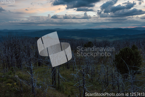 Image of Landscape with dead forest