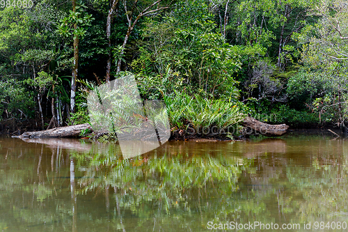 Image of Masoala National Park landscape, Madagascar