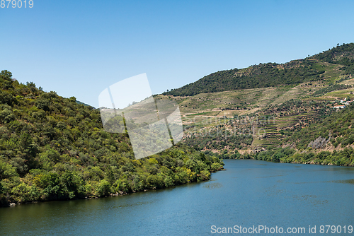 Image of Point of view shot of terraced vineyards in Douro Valley