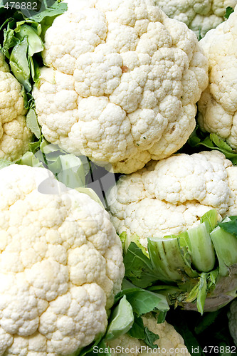 Image of Cauliflowers