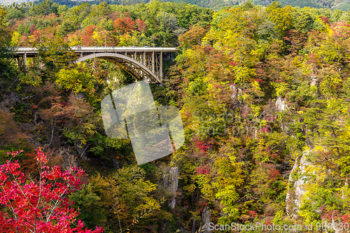 Image of Bridge passing though Naruko Gorge in autumn