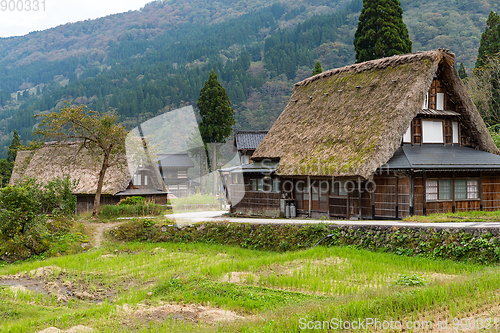 Image of Japanese Old house in Shirakawago