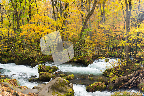 Image of Waterfall in Oirase stream at Towada