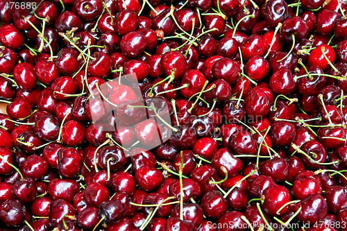 Image of Cherry fruit