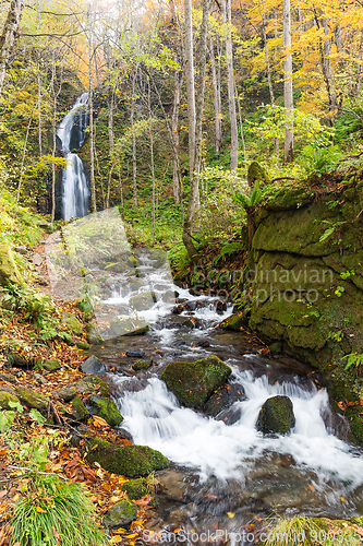 Image of Oirase Stream in Japan