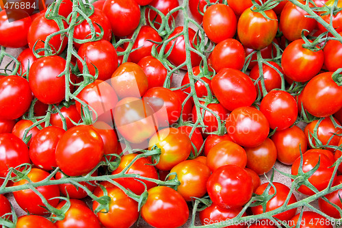 Image of Cherry tomato