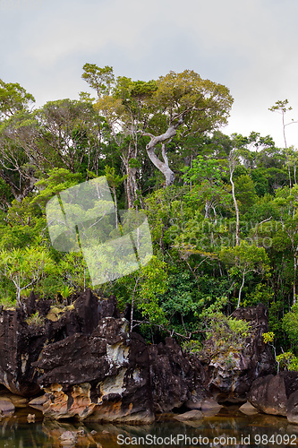 Image of Masoala National Park landscape, Madagascar