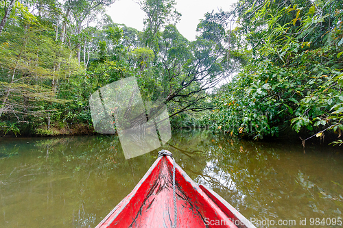 Image of Masoala National Park landscape, Madagascar