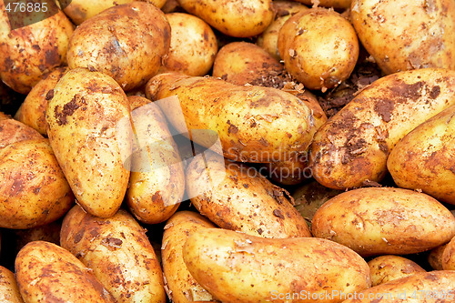 Image of Dirty potatoes