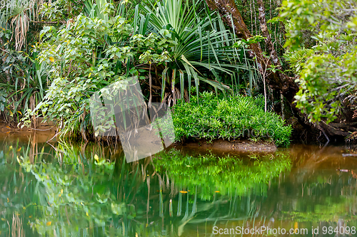 Image of Masoala National Park landscape, Madagascar