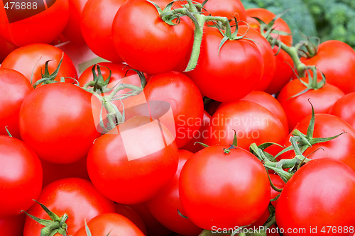 Image of Organic tomatoes