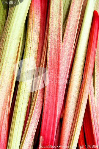 Image of Rhubarb