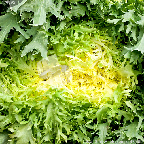 Image of Salad