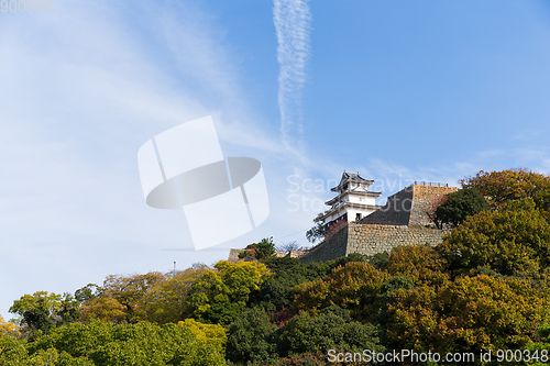 Image of Marugame Castle