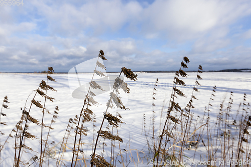 Image of Snow drifts in winter