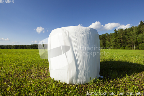 Image of Bale of hay