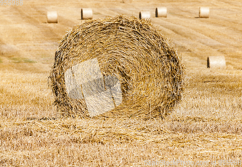 Image of Rolls of haystacks